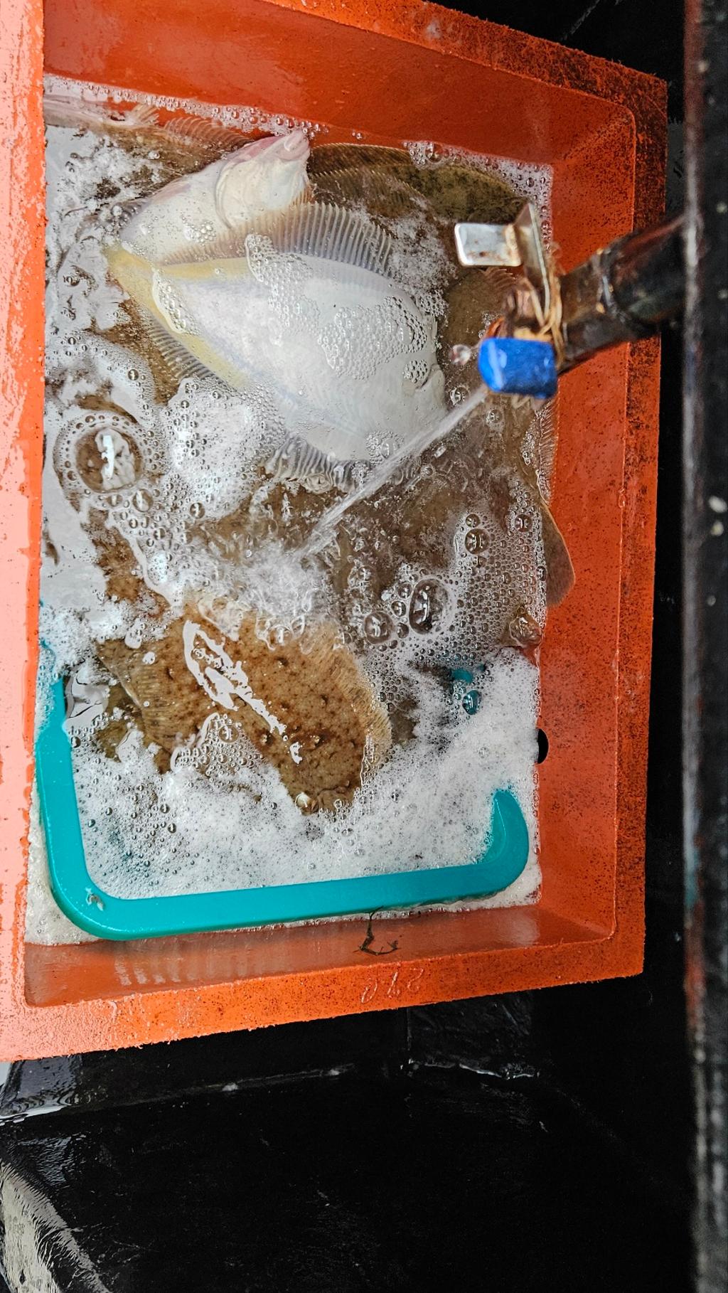F26782158J.jpg