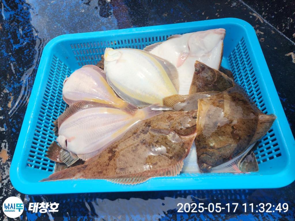 F2678263LL.jpg