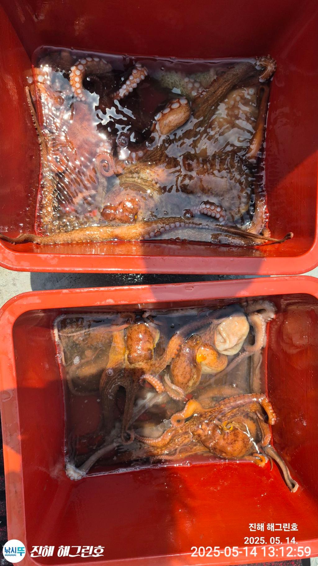 F2678329X4.jpg