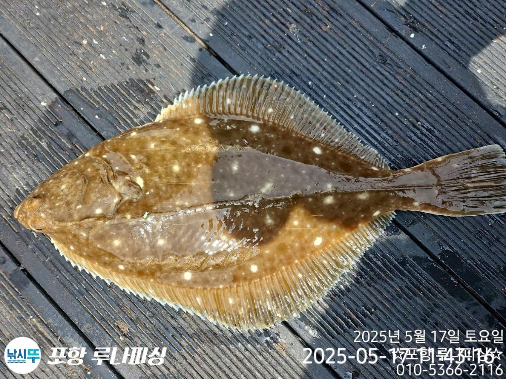 F2678354B2.jpg