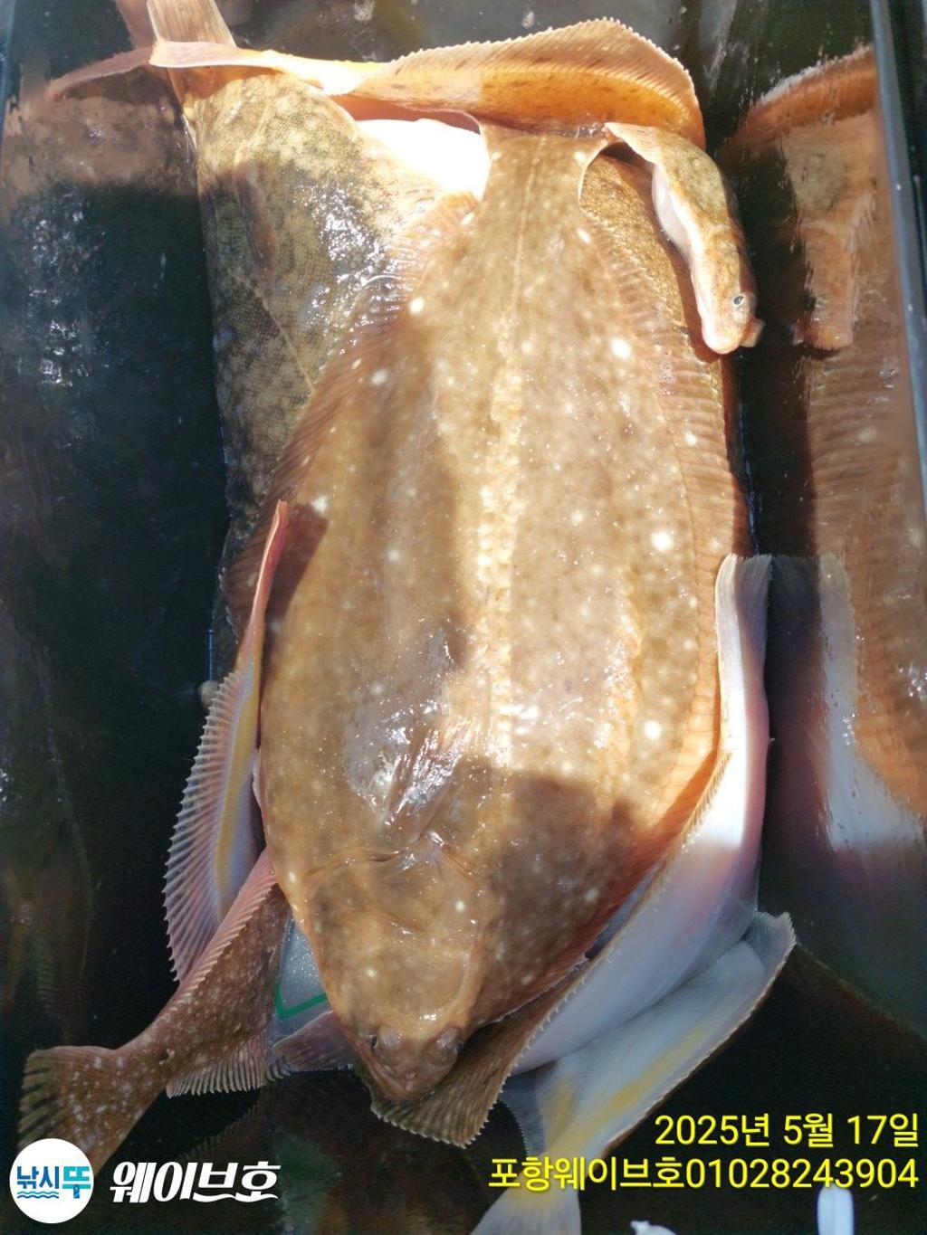 F267837492.jpg