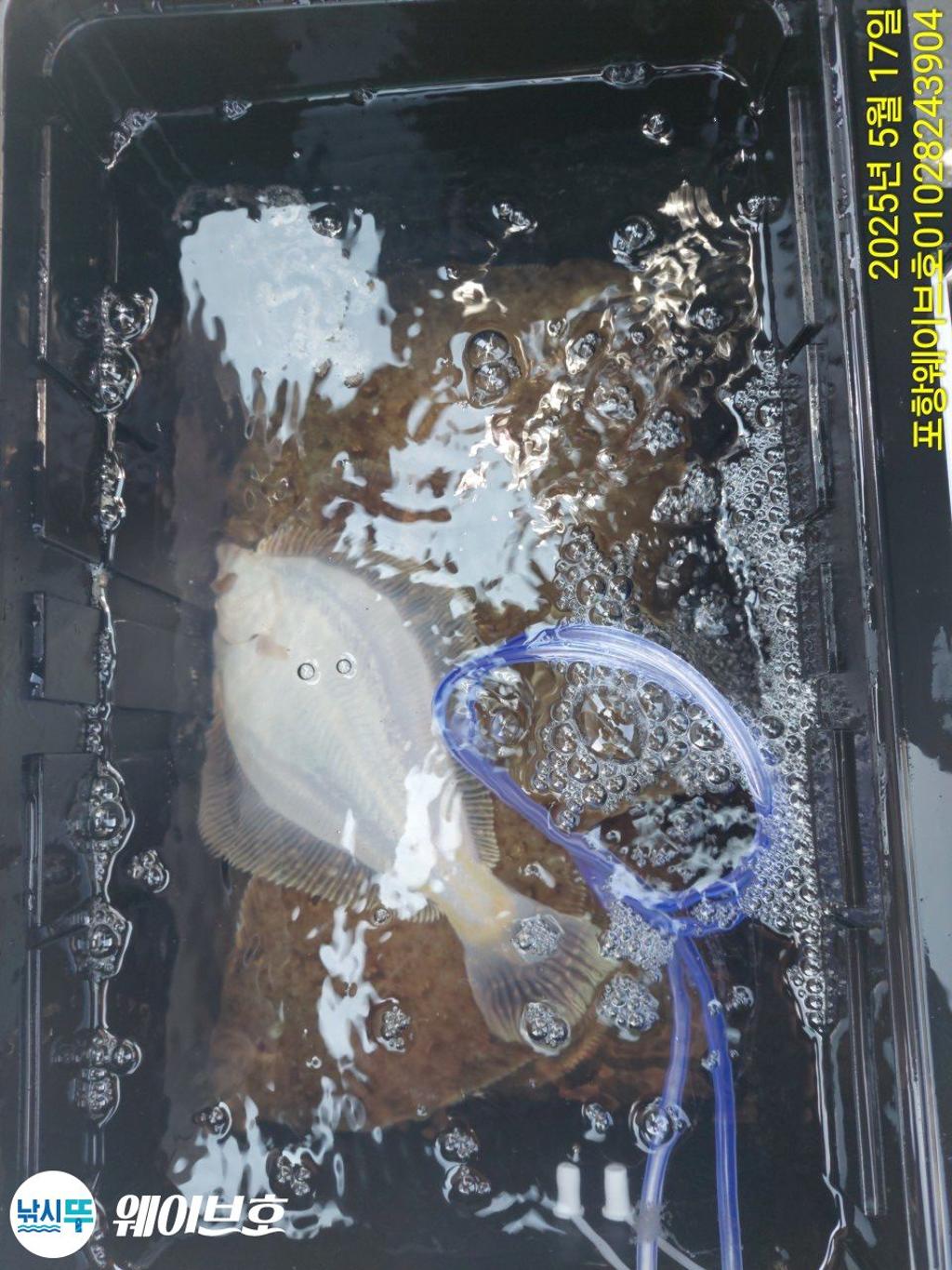 F267837969.jpg