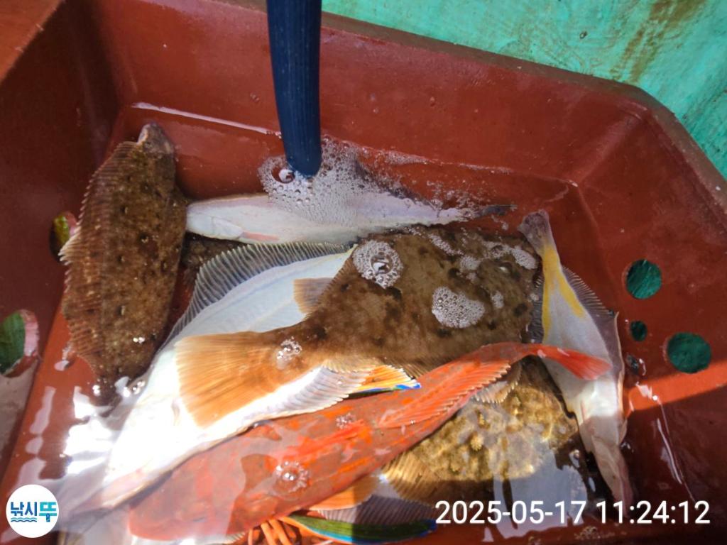 F26784834K.jpg
