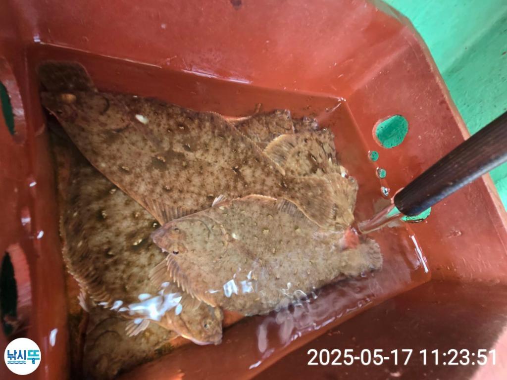 F26784894Y.jpg