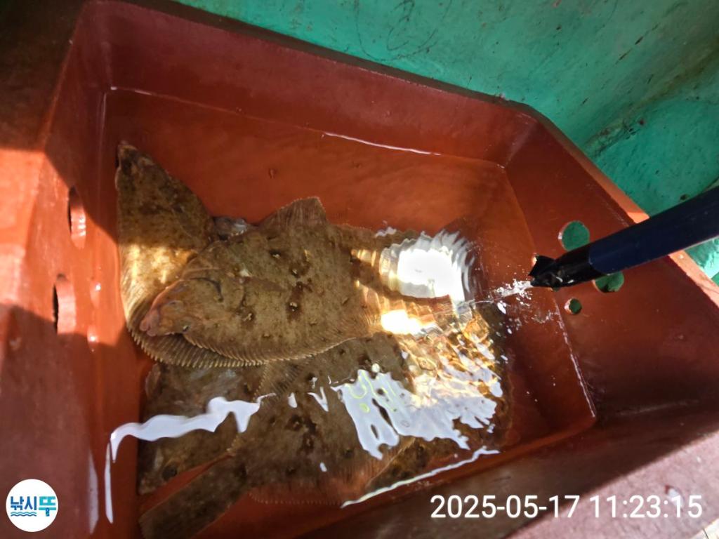 F2678496RC.jpg