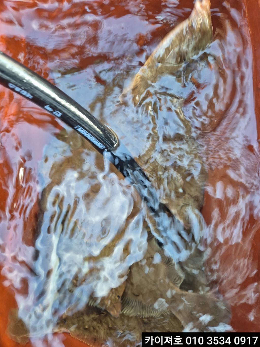F2678521RX.jpg