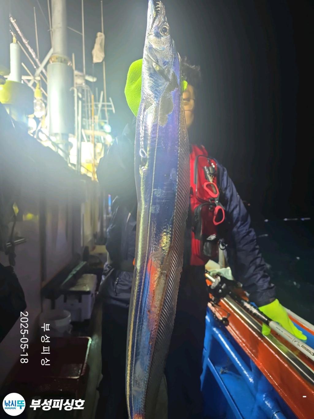 F26786525X.jpg