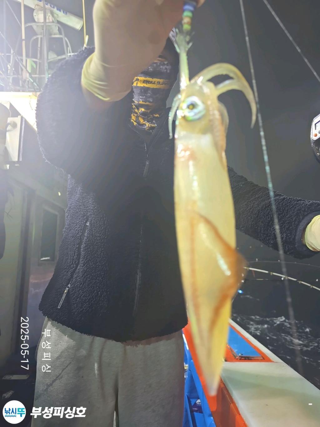 F2678655NA.jpg
