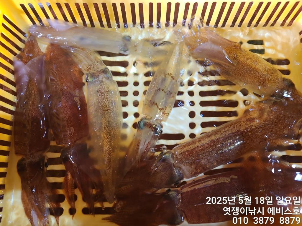 F2678712F1.jpg