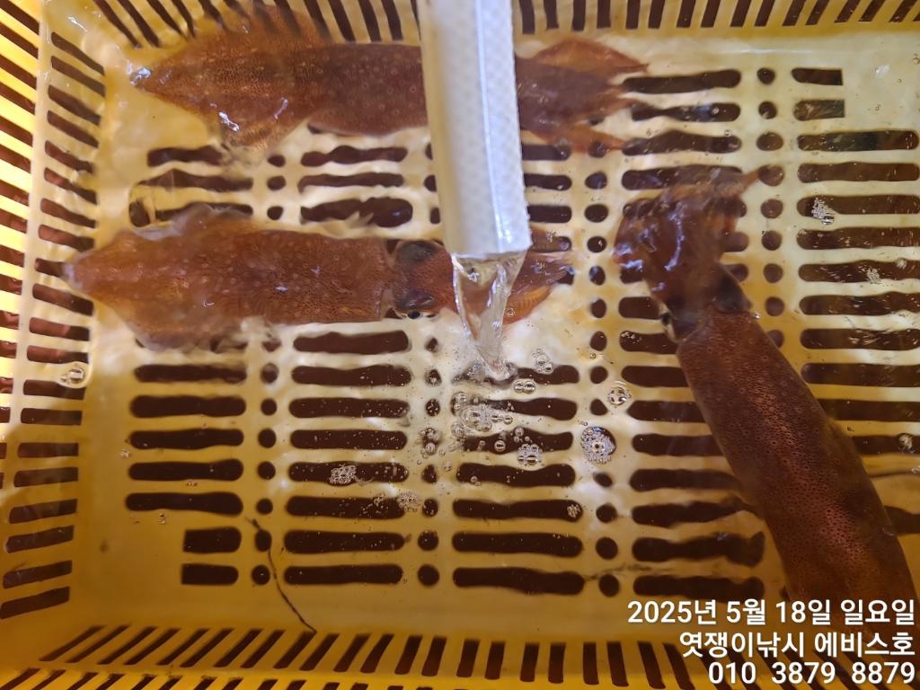 F2678717NI.jpg