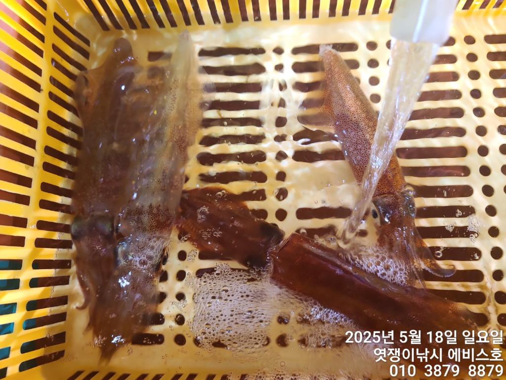 F26787181S.jpg