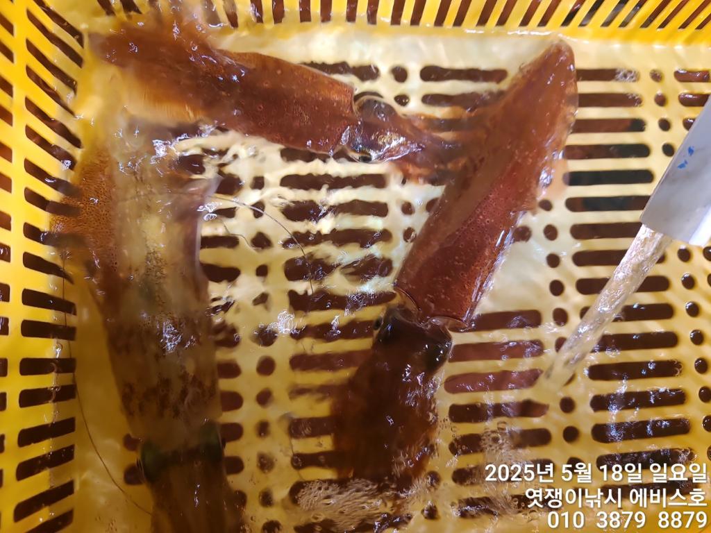F2678722F8.jpg