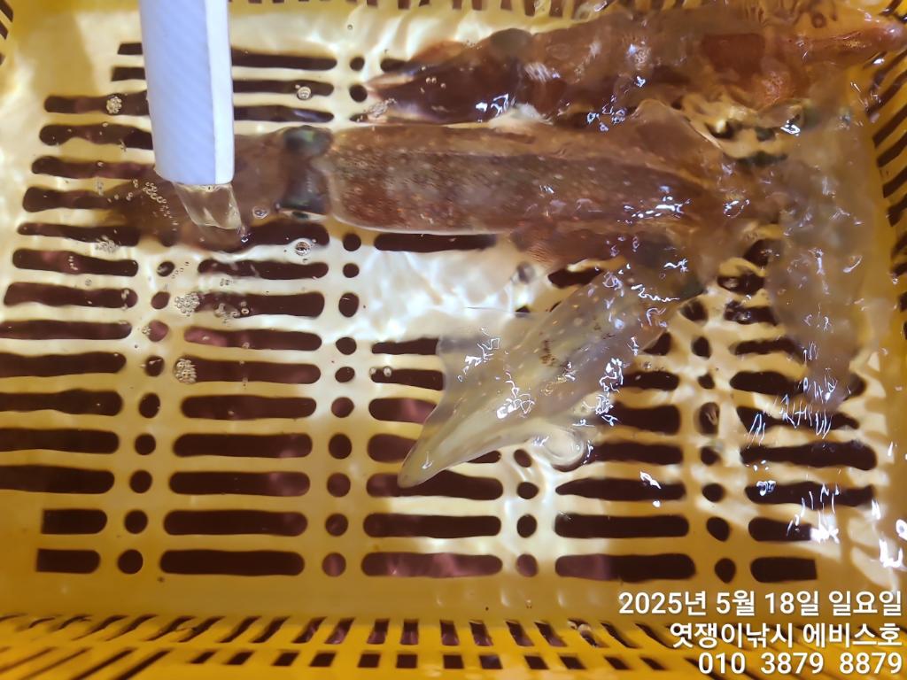 F2678723KA.jpg