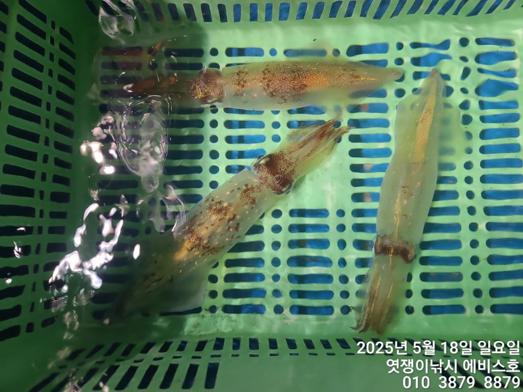 F267872484.jpg