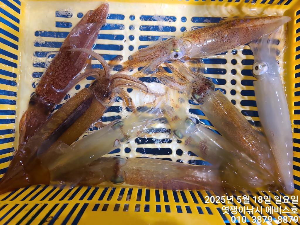 F267873044.jpg