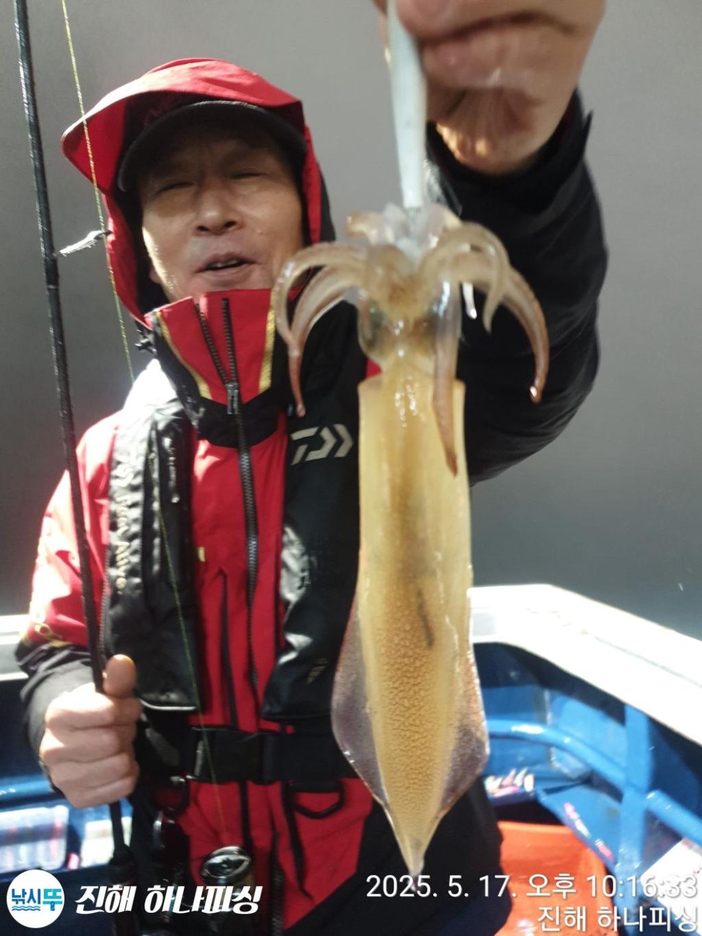 낚시뚜,한치,진해 안골항,진해 하나피싱,낚시뚜8