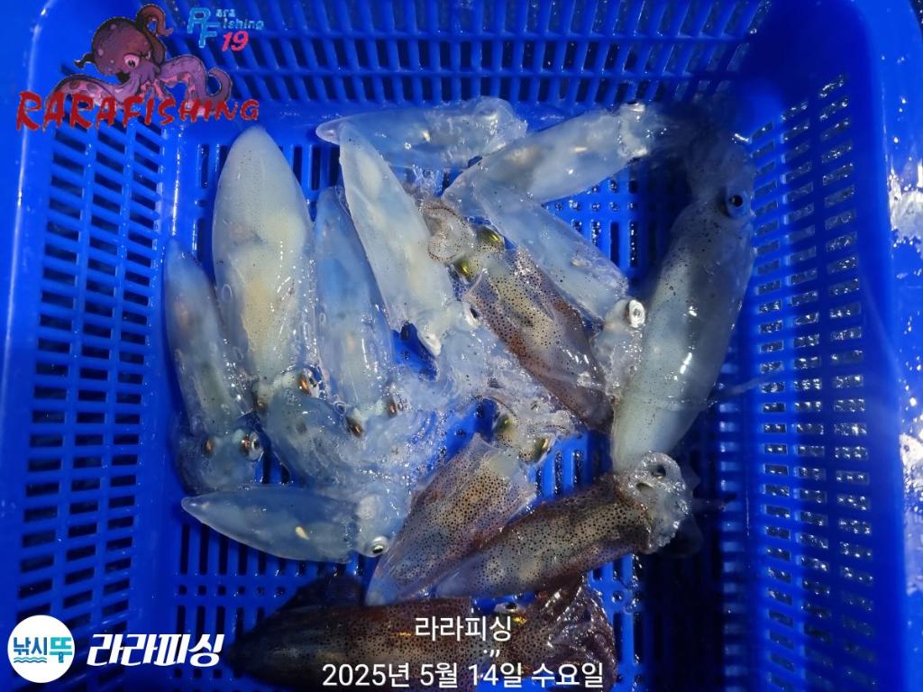 F2678863JP.jpg