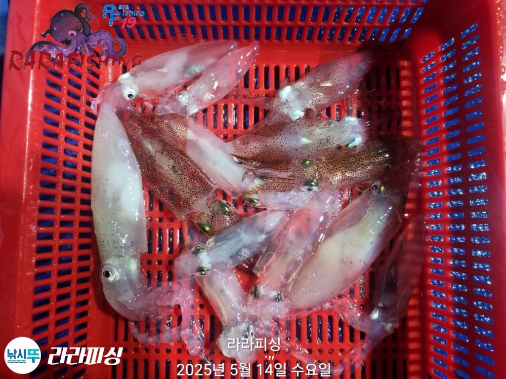 F26789472Z.jpg