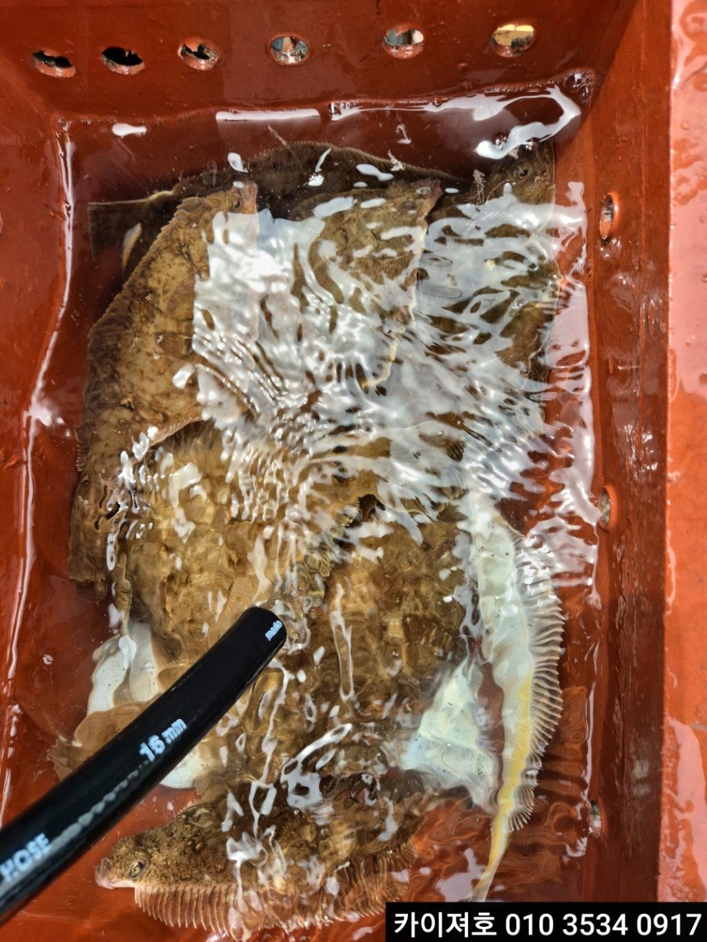 F26790278G.jpg