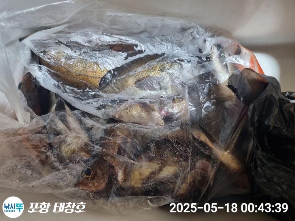 F2679128YG.jpg