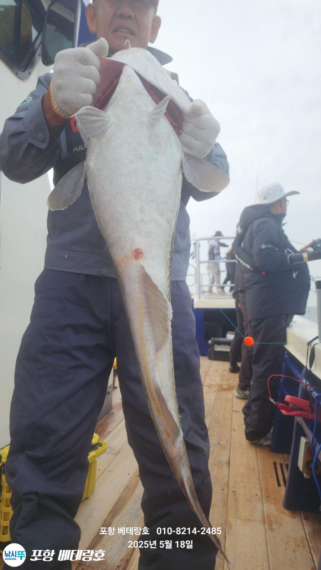F2679216CP.jpg