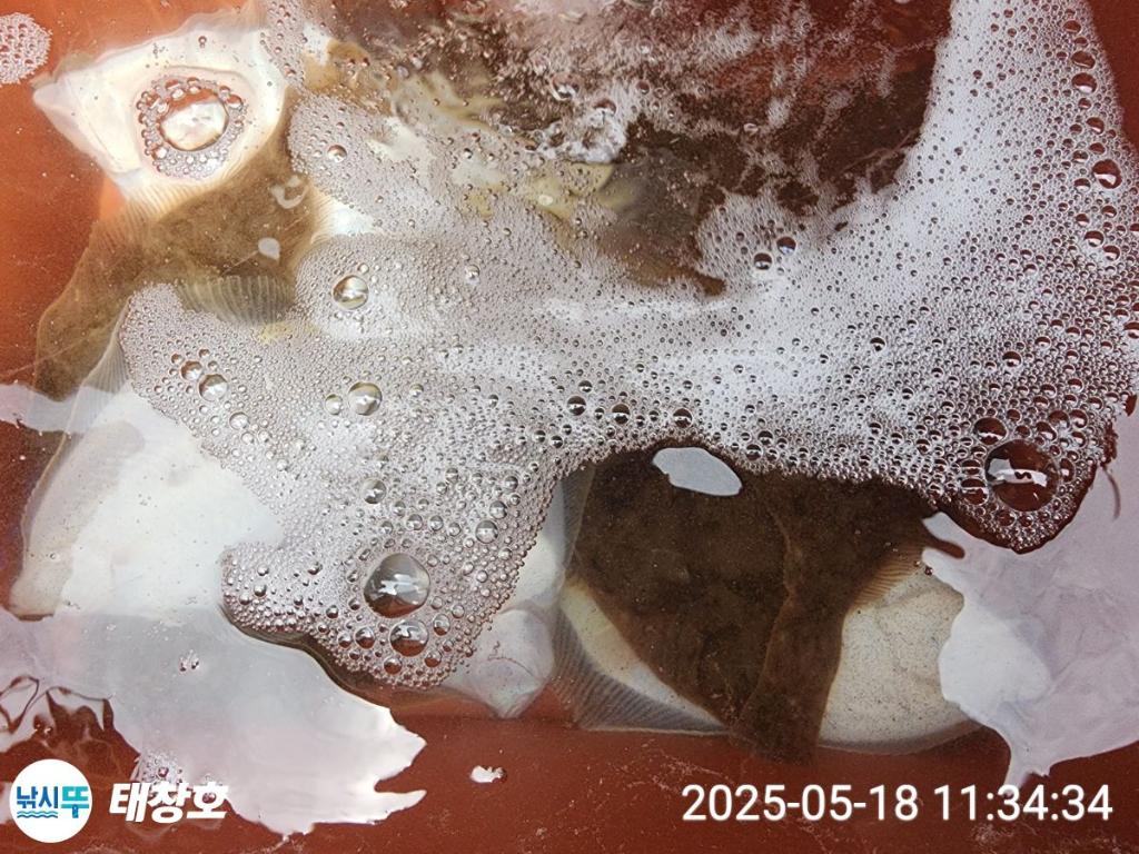F2679234FG.jpg
