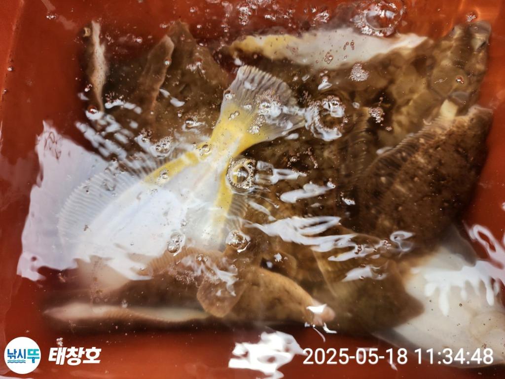 F2679236GG.jpg