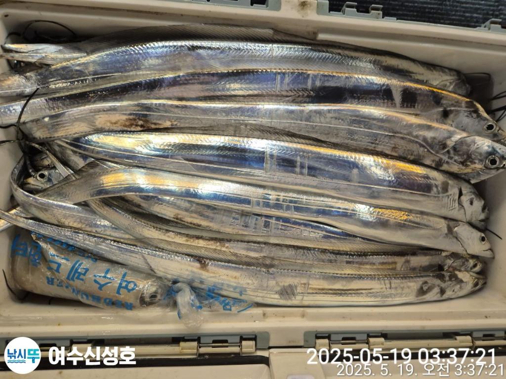 F26793134T.jpg