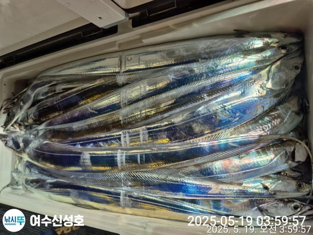 F2679318YC.jpg