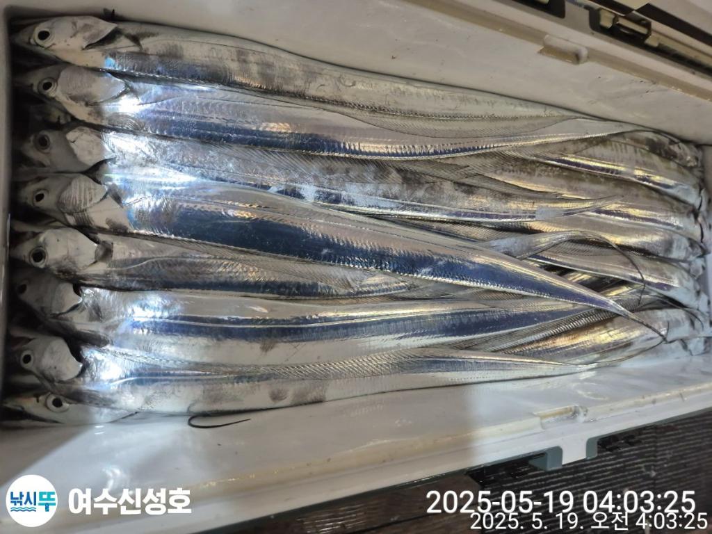 F2679321OE.jpg