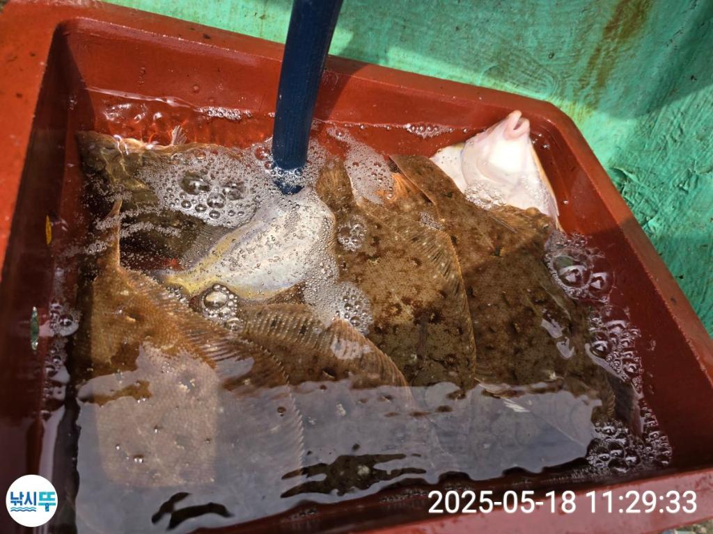 F2679395B6.jpg