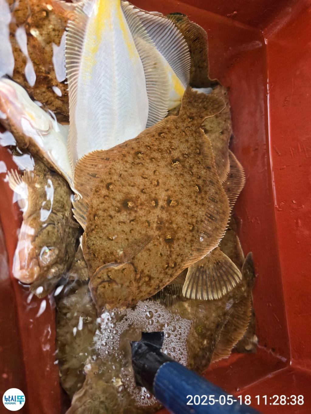 F2679410R9.jpg