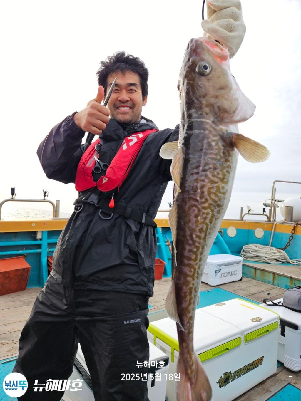 F2679726P8.jpg