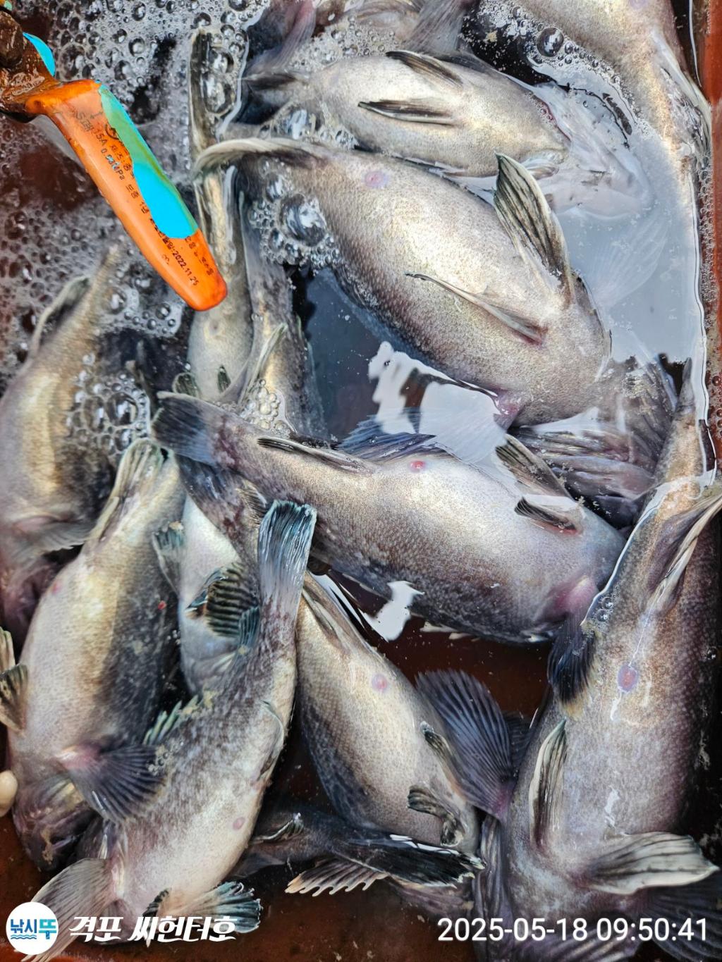 F2679920XM.jpg