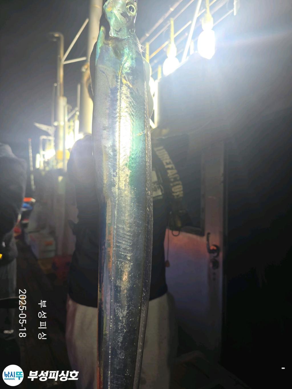 F26799776J.jpg