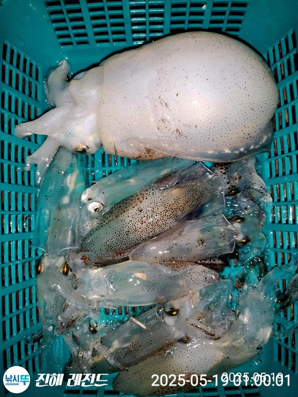 F2680026OZ.jpg