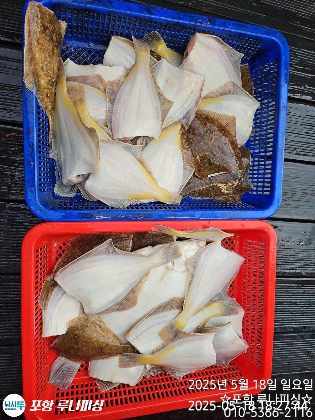 F2680060XX.jpg