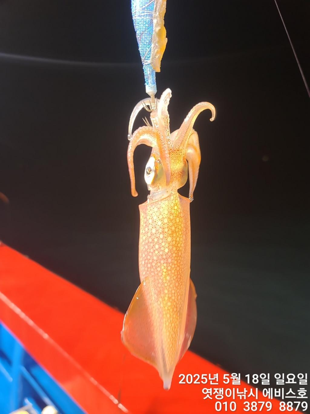 F2679464R6.jpg