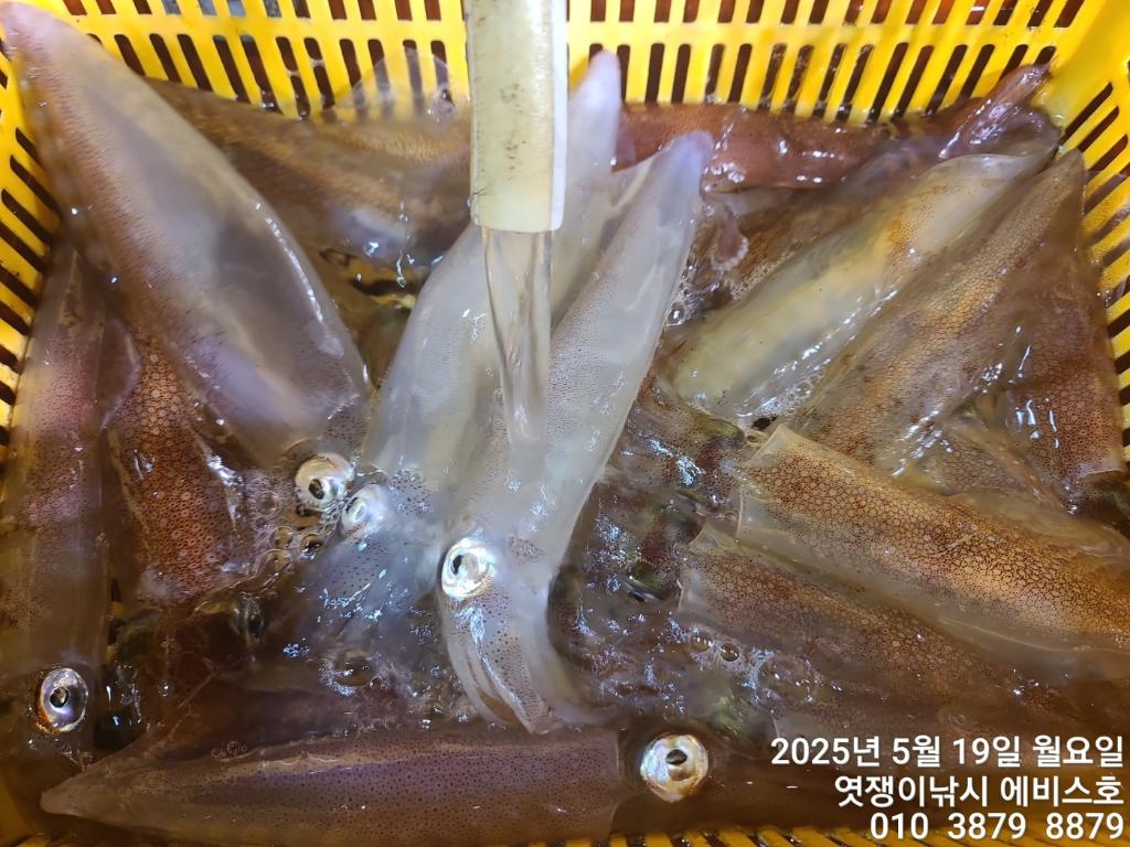 F26794653X.jpg