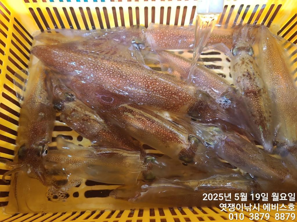 F2679467MS.jpg