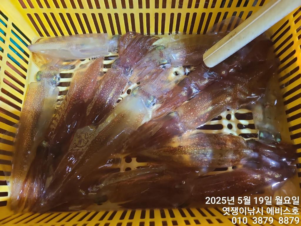 F2679468HH.jpg