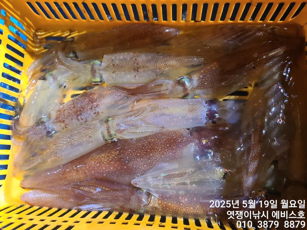 F2679470DA.jpg