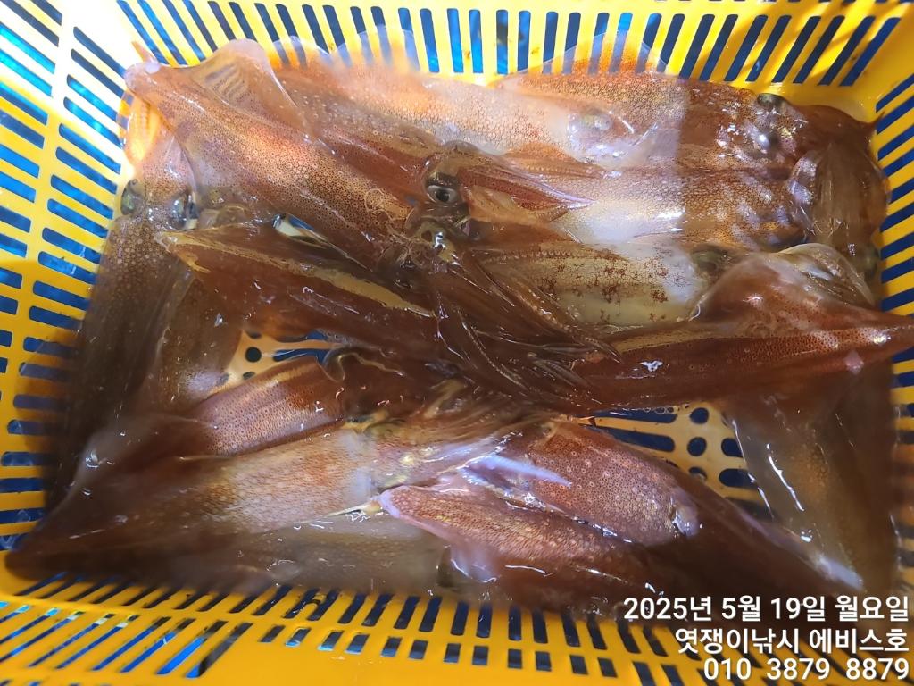 F2679471D4.jpg