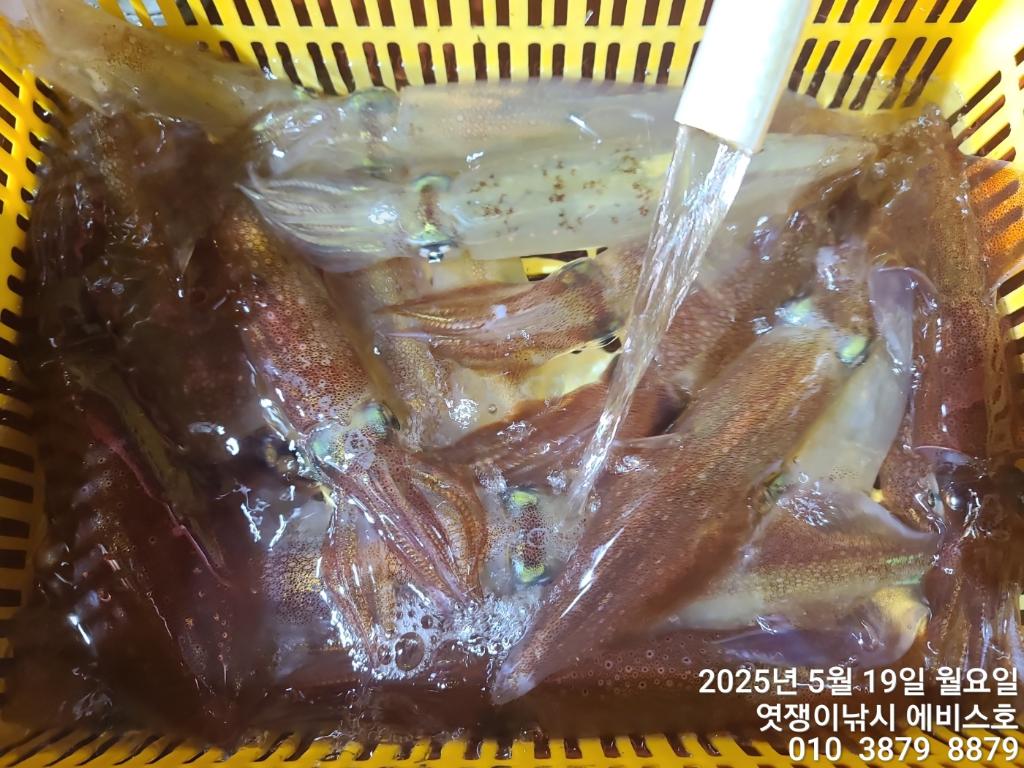 F2679472HD.jpg
