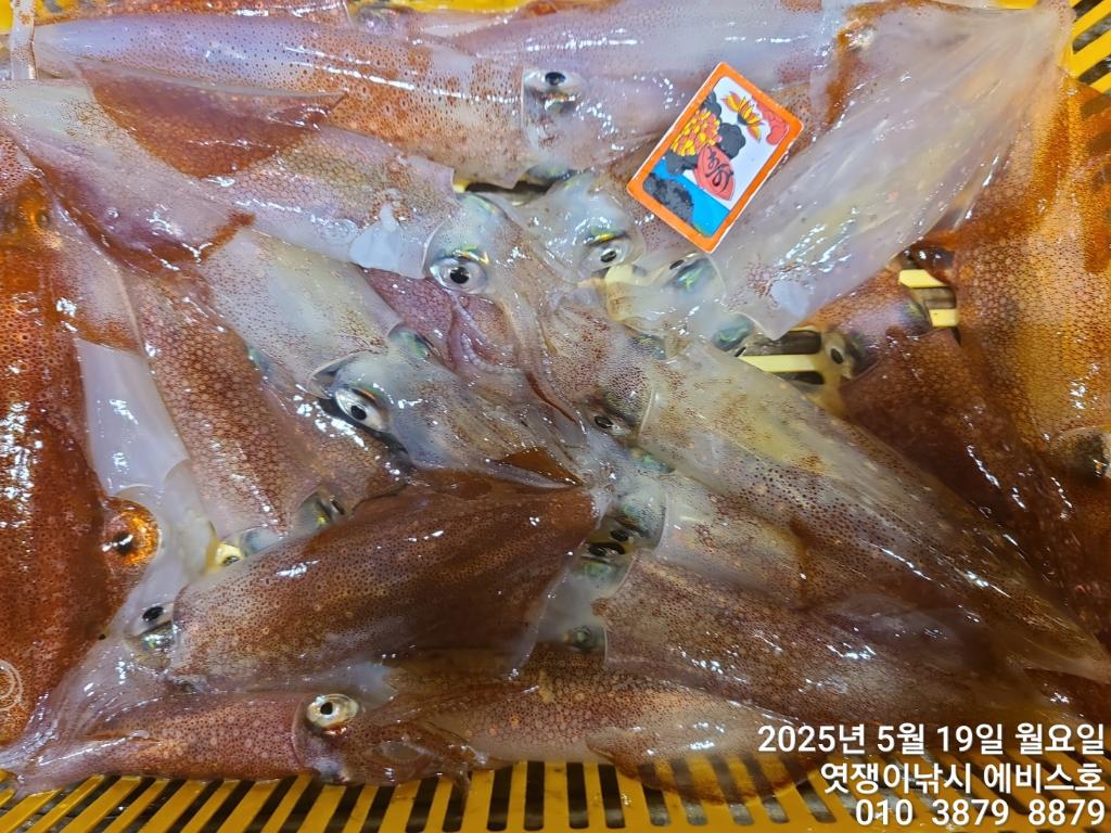 F2679473H1.jpg