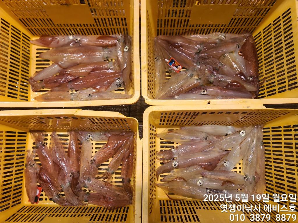 F26794760P.jpg