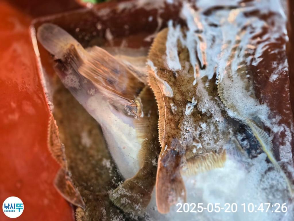 F2680212YP.jpg
