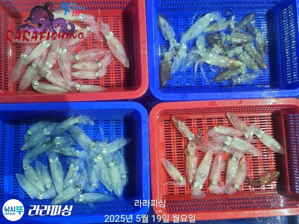 F2680241WM.jpg