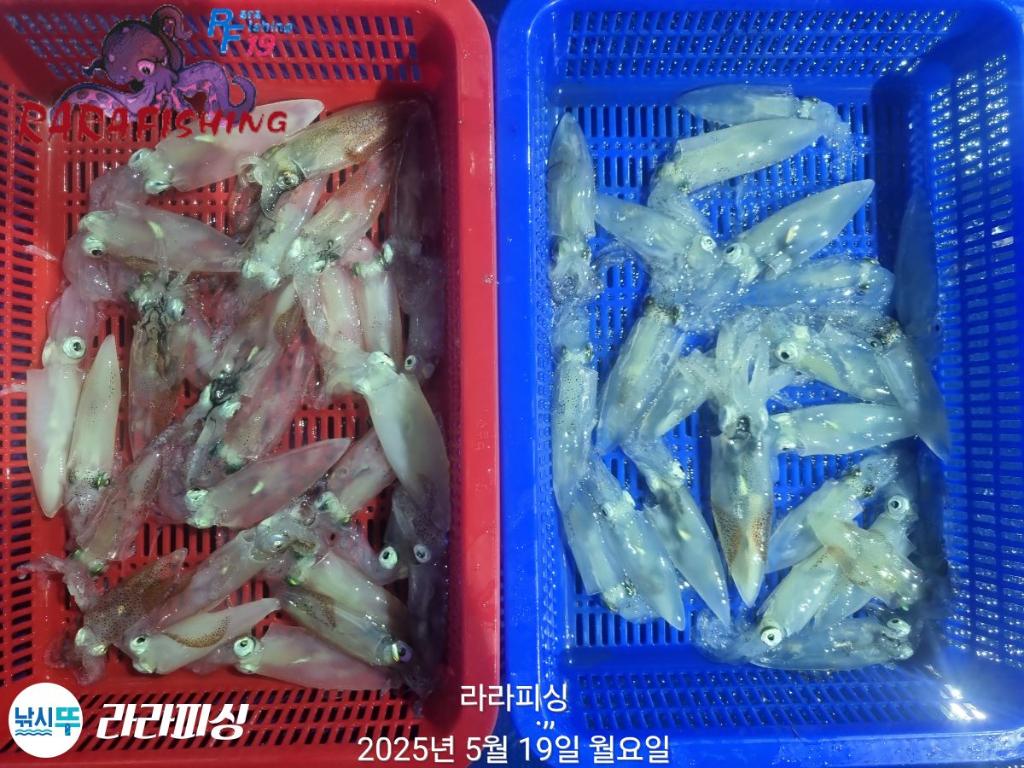 F268024283.jpg