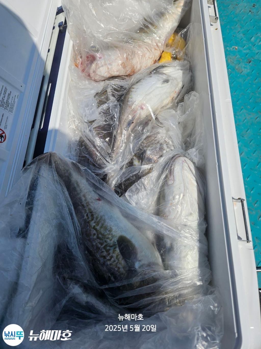 F2680437BZ.jpg